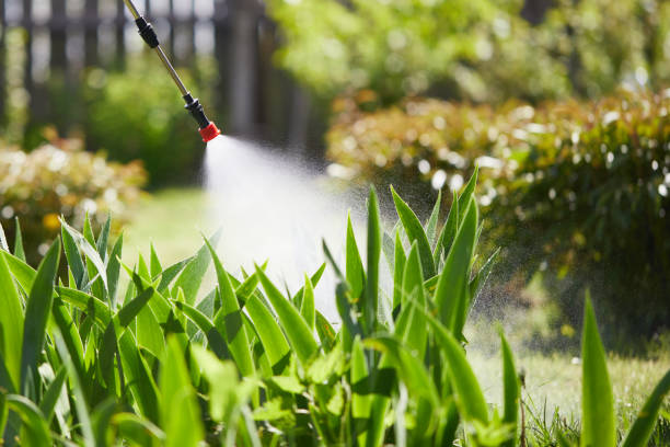 24/7 Emergency Wasp Removal experts in Pinewood, FL