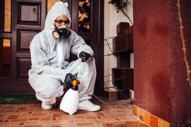 Reliable Wasp Removal contractor in Pinewood, FL by Show Me Pest Control